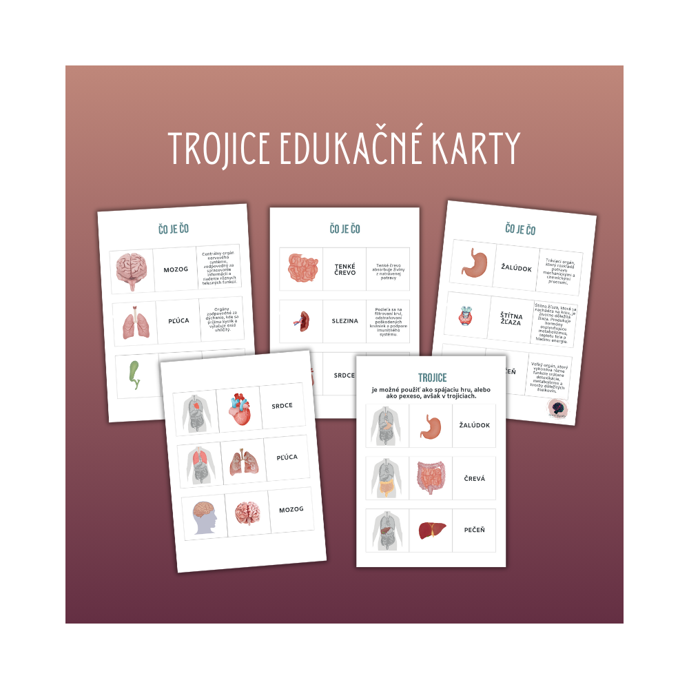 PDF Ľudské telo: edukčné karty, trojzložkové karty, trojice, pexeso a BONUS - pracovné listy