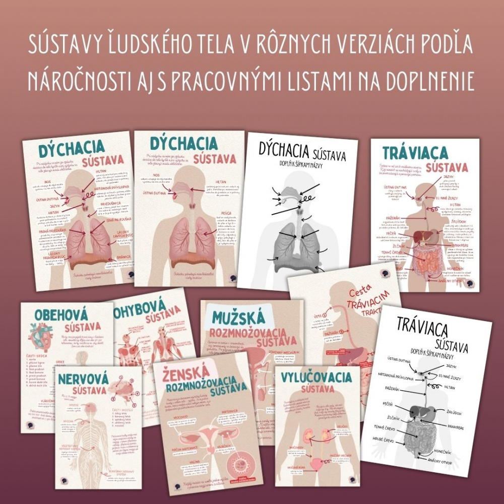 PDF MEGA súbor na tému ľudské telo od škôlkarov až po druhý stupeň