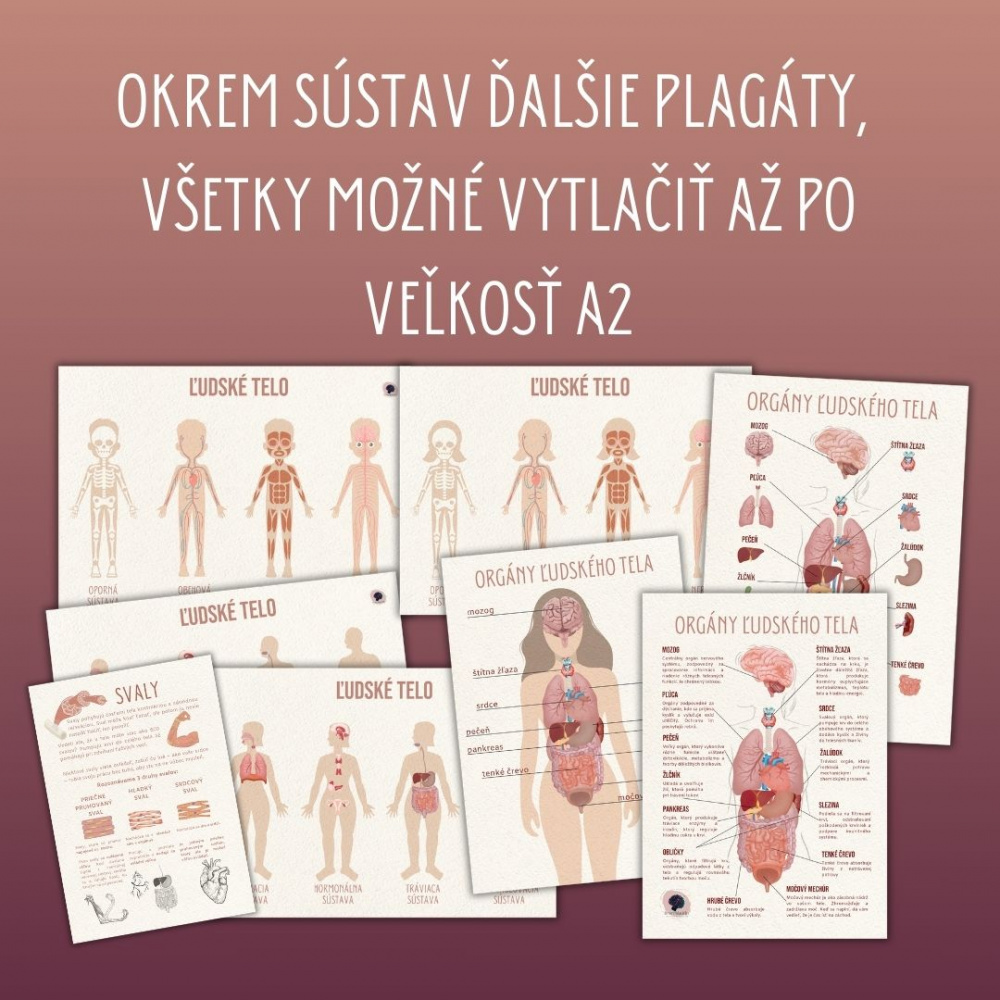 PDF MEGA súbor na tému ľudské telo od škôlkarov až po druhý stupeň