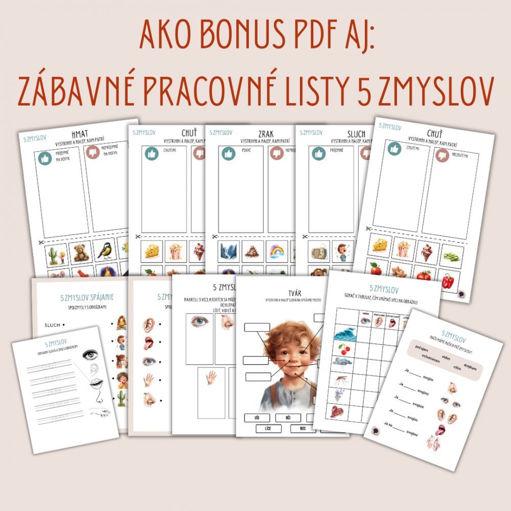 Veľká sada Ľudské telo (tlačená verzia + PDF)