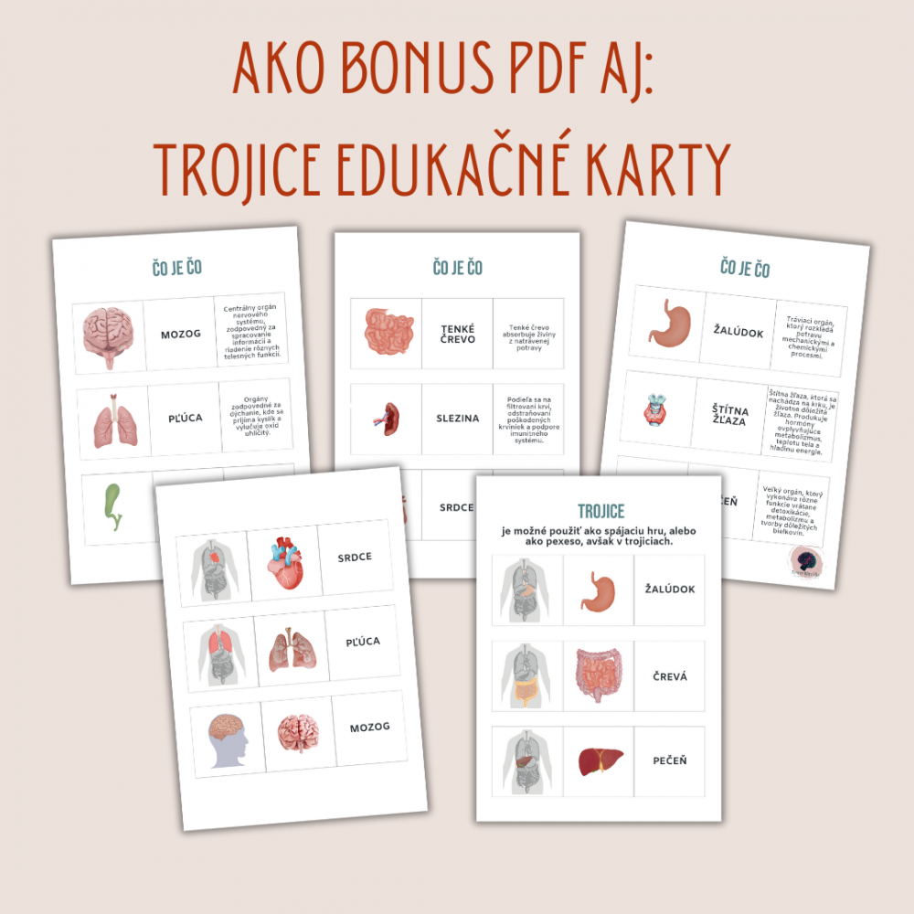 BONUS PDF ľudské telo, zadarmo k Veľkej sade Ľudské telo