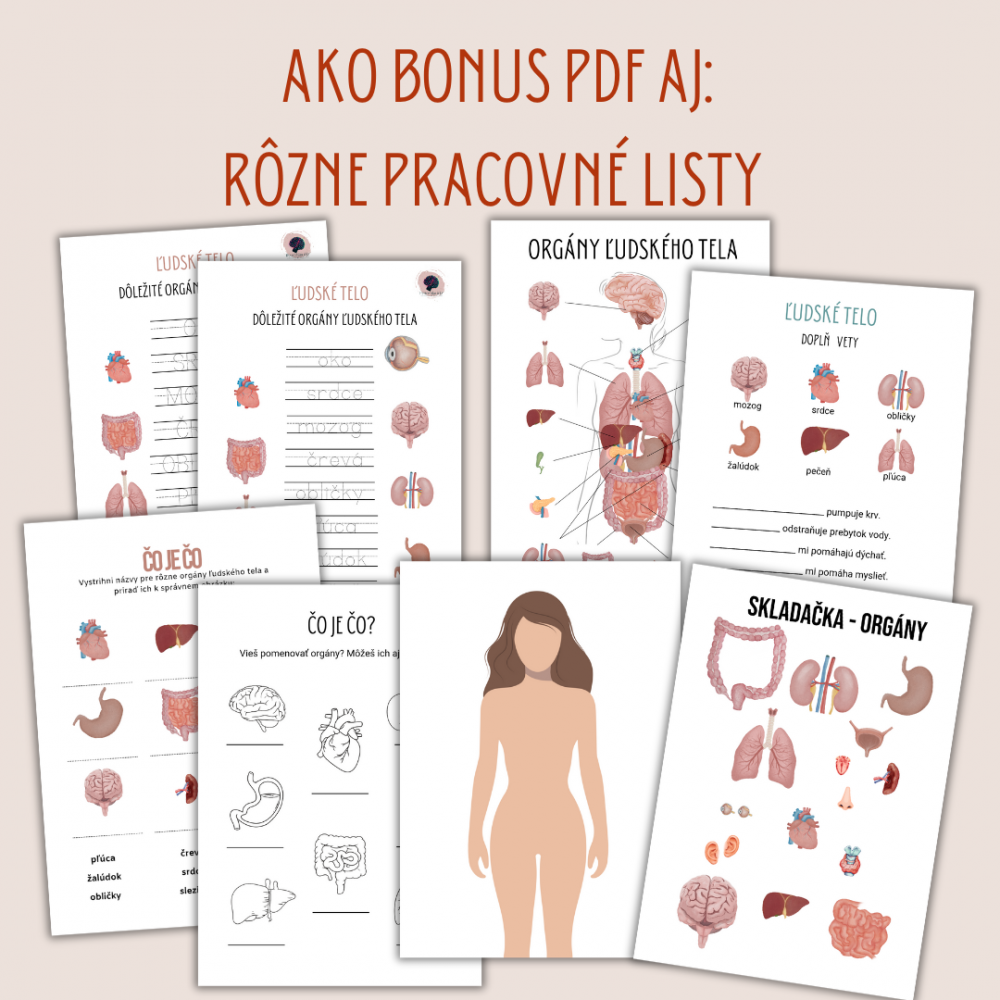 BONUS PDF ľudské telo, zadarmo k Veľkej sade Ľudské telo