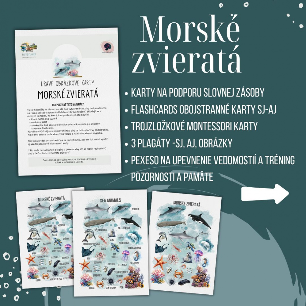 PDF Morské zvieratá - karty...