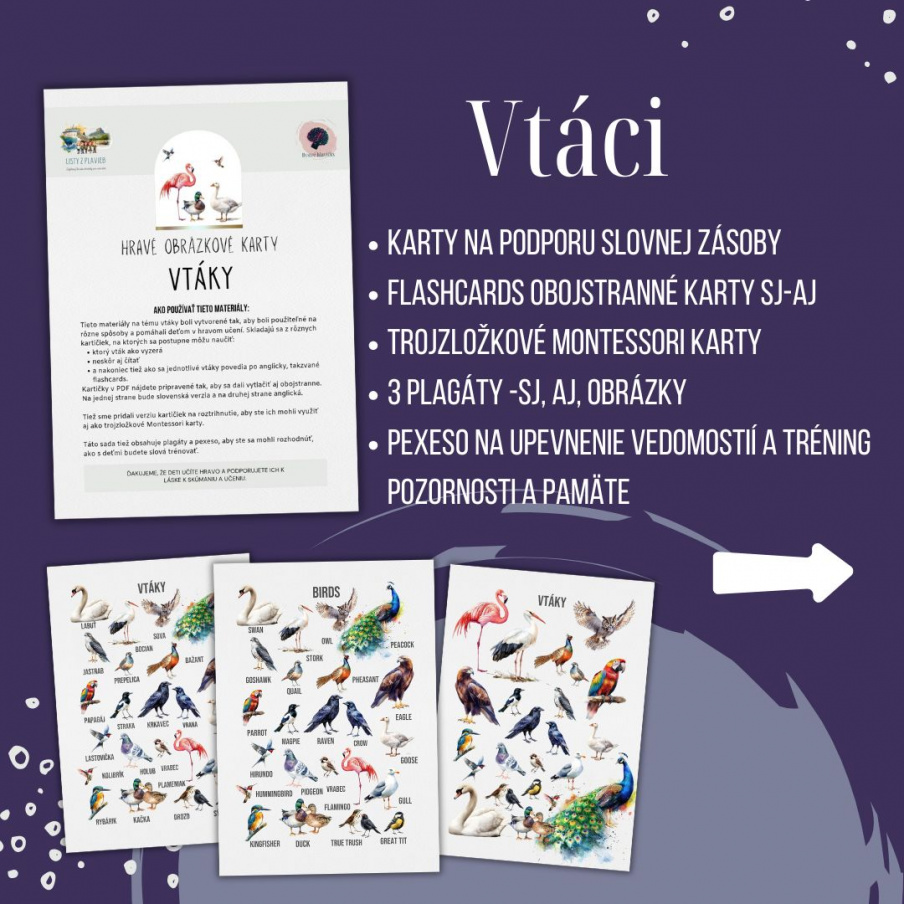 PDF Vtáci - karty (flashcards) v SJ a AJ obojstranné, montessori trojzložkové karty, plagáty a pexeso