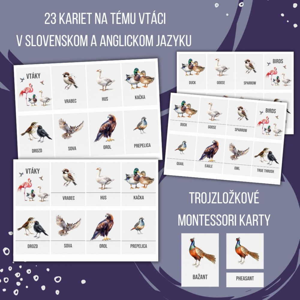 PDF Vtáci - karty (flashcards) v SJ a AJ obojstranné, montessori trojzložkové karty, plagáty a pexeso