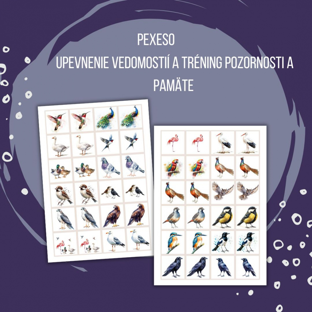 PDF Vtáci - karty (flashcards) v SJ a AJ obojstranné, montessori trojzložkové karty, plagáty a pexeso