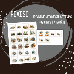 PDF dopravné prostriedky - karty (flashcards) v SJ a AJ obojstranné, montessori trojzložkové karty, plagáty a pexeso