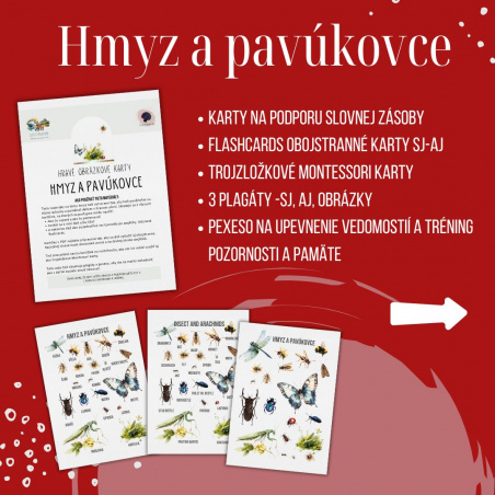 PDF Hmyz a pavúkovce - karty (flashcards) v SJ a AJ obojstranné, montessori trojzložkové karty, plagáty a pexeso