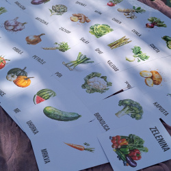Flashcards príroda: Prvé slová, prvé čítanie a angličtina v jednom
