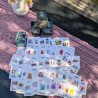 Flashcards svet okolo nás: Prvé slová, prvé čítanie a angličtina v jednom