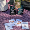 Set dvoch hier: Flashcards príroda a Flashcards svet okolo nás: Prvé slová, prvé čítanie a angličtina v jednom