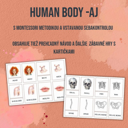 PDF Anglické trojzložkové karty Human Body